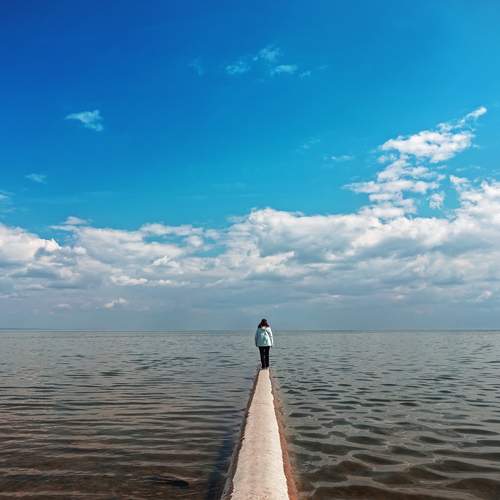 Photo #13656091