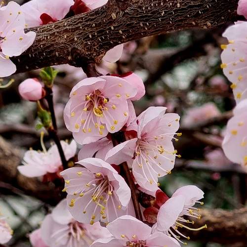 Photo #13656147