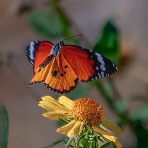 Photo #13656174