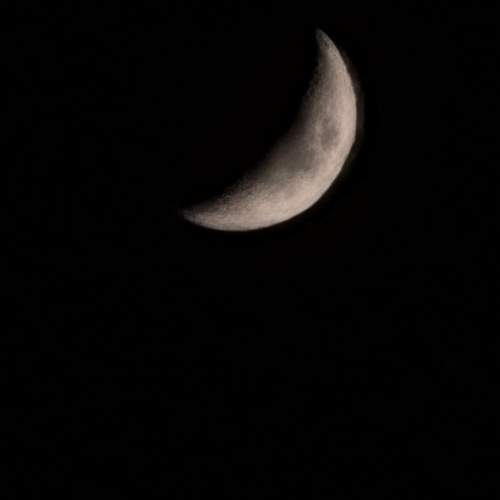 Photo #13656221