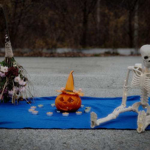 Photo #13656241