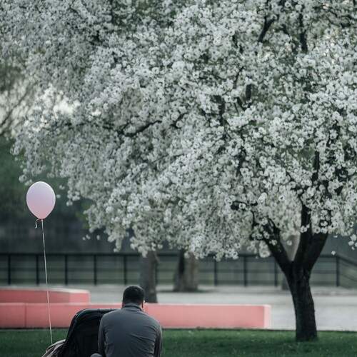 Photo #13656268