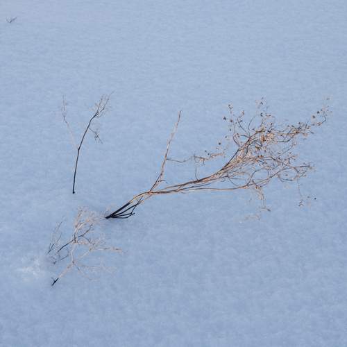 Photo #13656295