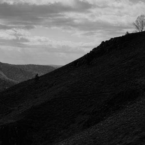 Photo #13656303