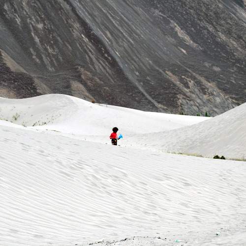 Photo #13656373