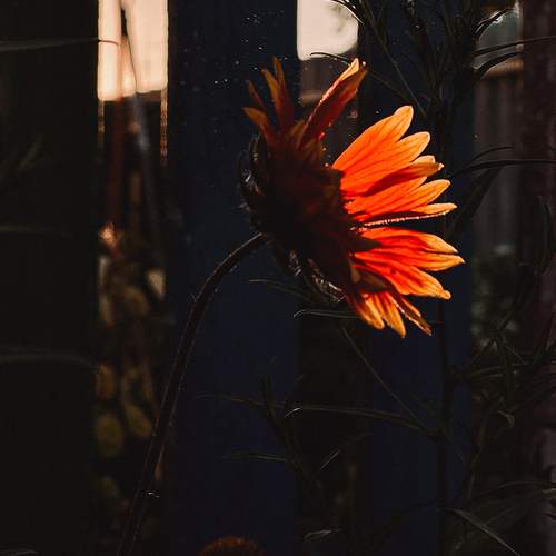 Photo #13656413