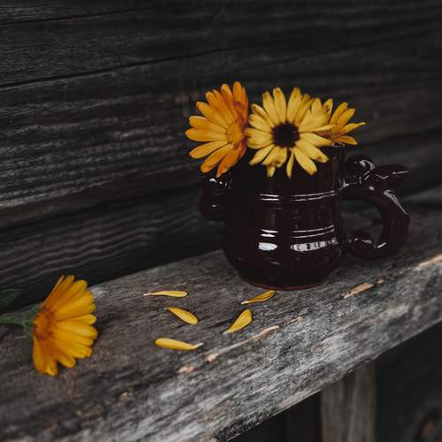 Photo #13656414