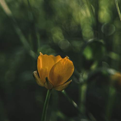Photo #13656419