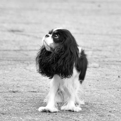Photo #13656429
