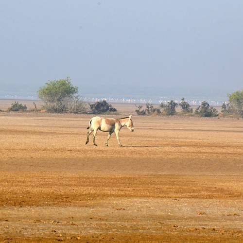 Photo #13656448