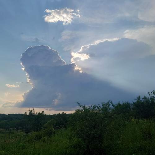 Photo #13656460