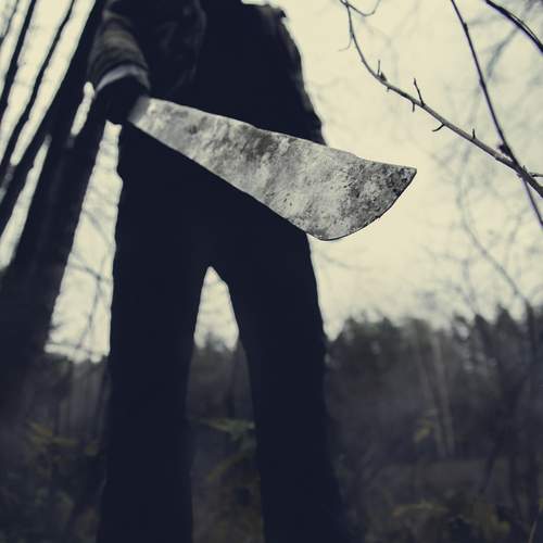 Photo #13656466