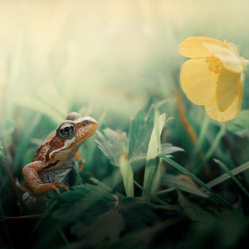 Photo #13656509