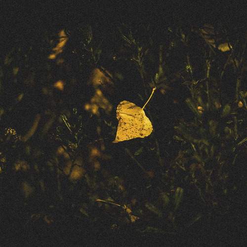 Photo #13656567