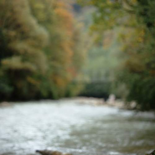 Photo #13656690