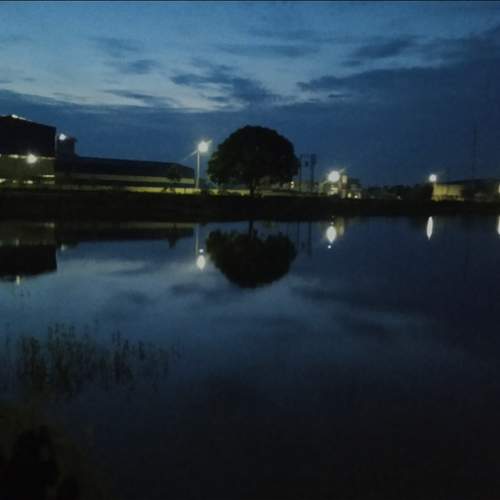 Photo #13656710