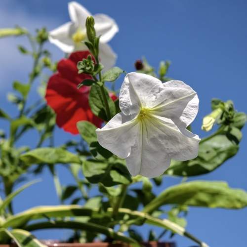 Photo #13656740