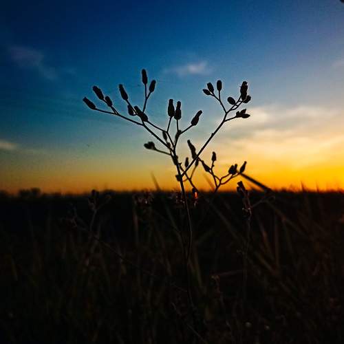 Photo #13656750