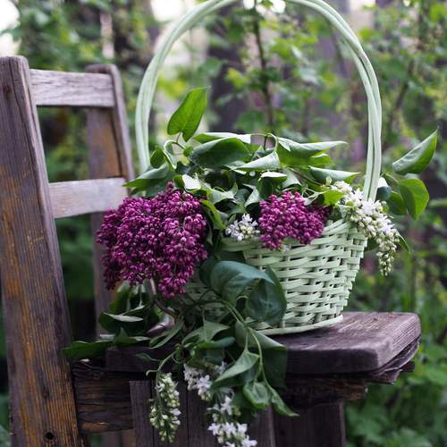 Photo #13656758