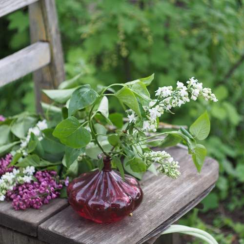 Photo #13656759