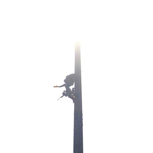 Photo #13656762