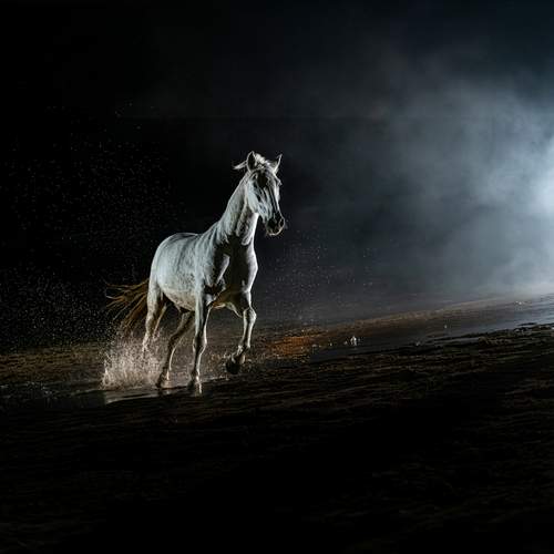 Photo #13656780