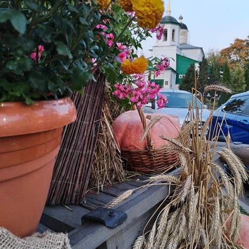 Photo #13656908