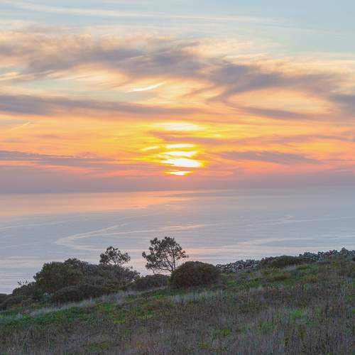 Photo #13656956
