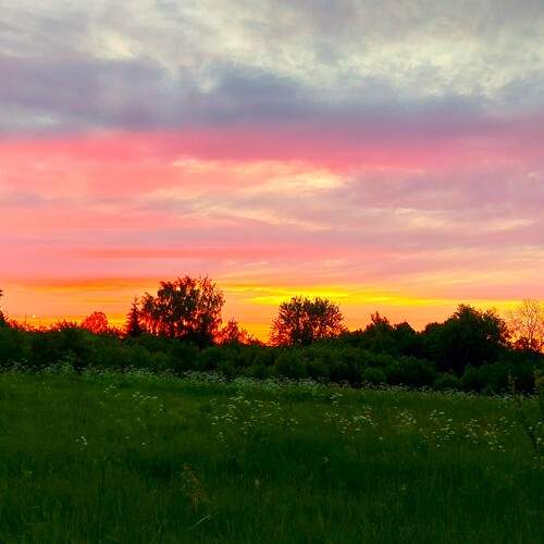 Photo #13657026