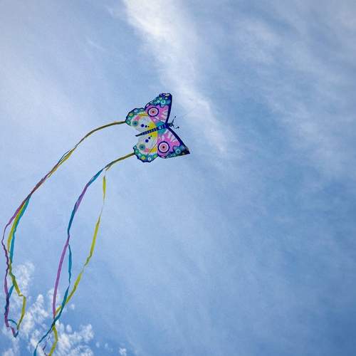 Photo #13657033