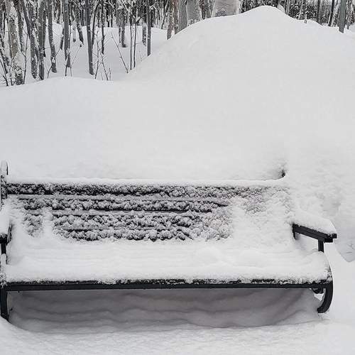 Photo #13657076