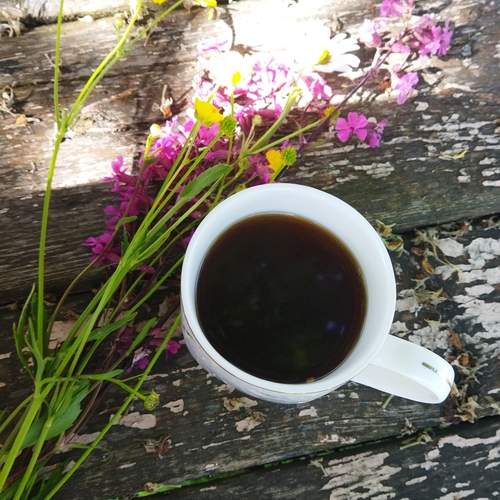 Photo #13657103