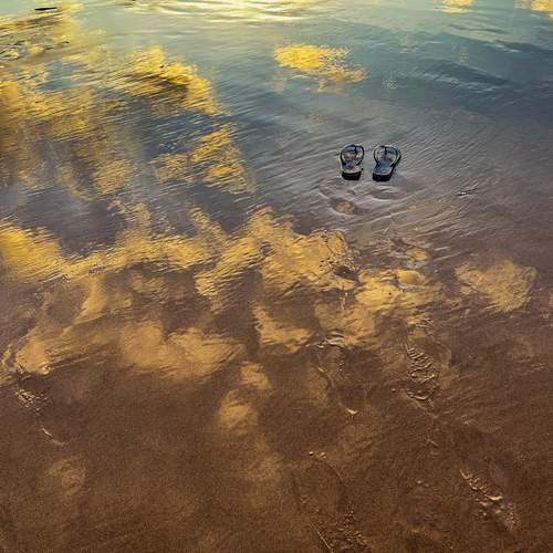 Photo #13657178