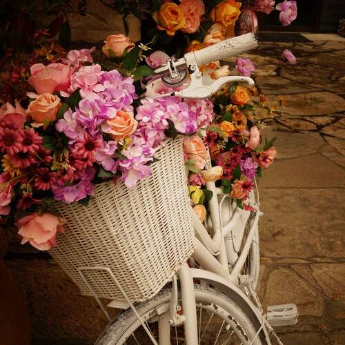 Photo #13657207