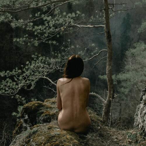 Photo #13657240