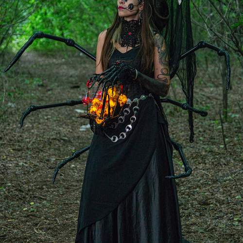 Photo #13657253