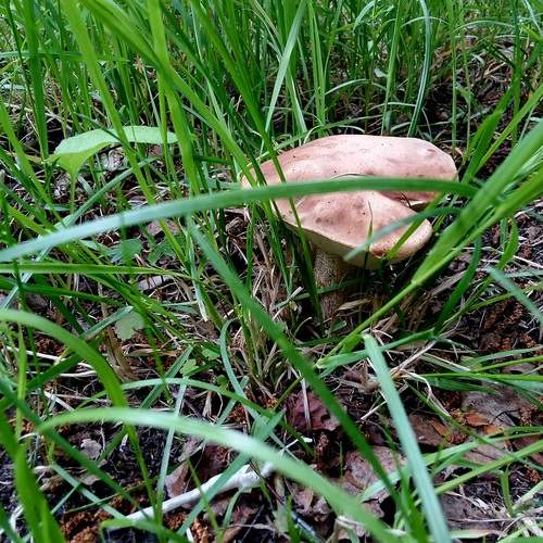 Photo #13657265