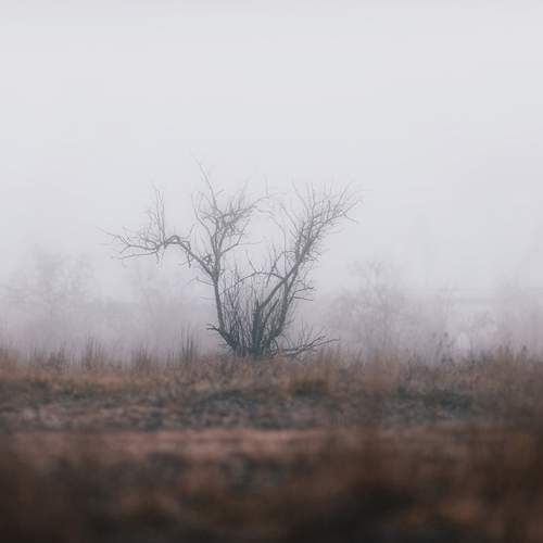 Photo #13657299