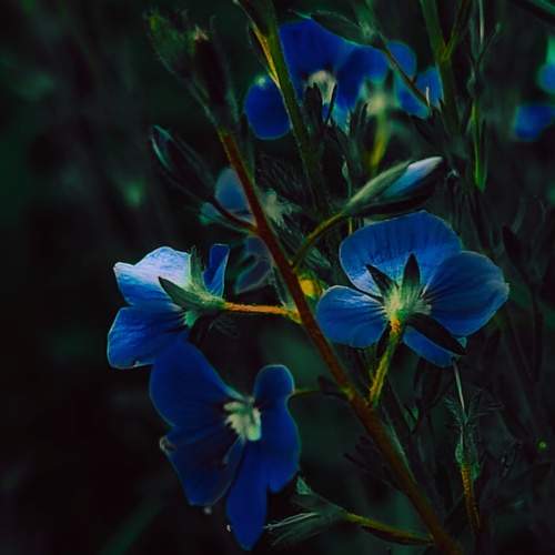 Photo #13657330