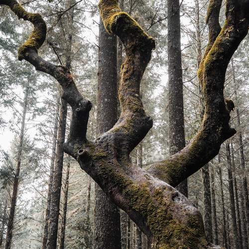 Photo #13657370