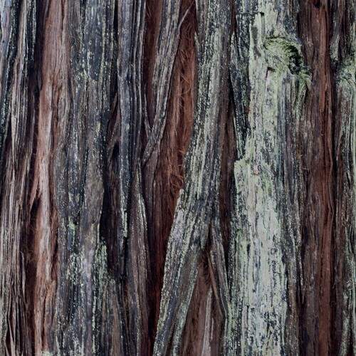 Photo #13657384