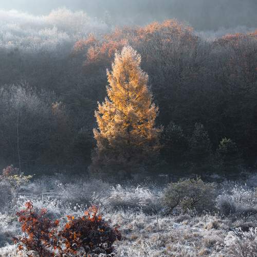 Photo #13657423
