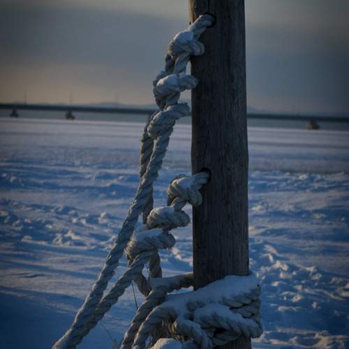 Photo #13657577