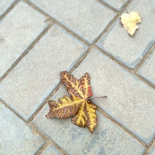 Photo #13657584