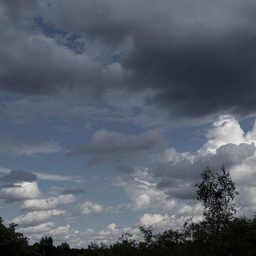 Photo #13657668