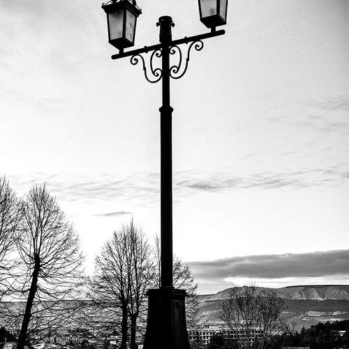 Photo #13657676