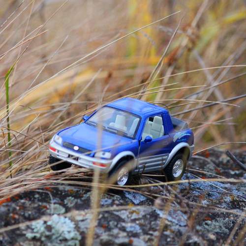 Photo #13657754