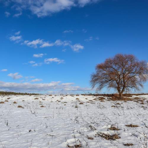 Photo #13657756