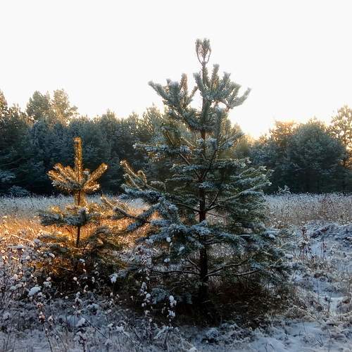 Photo #13657913