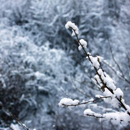 Photo #13657915